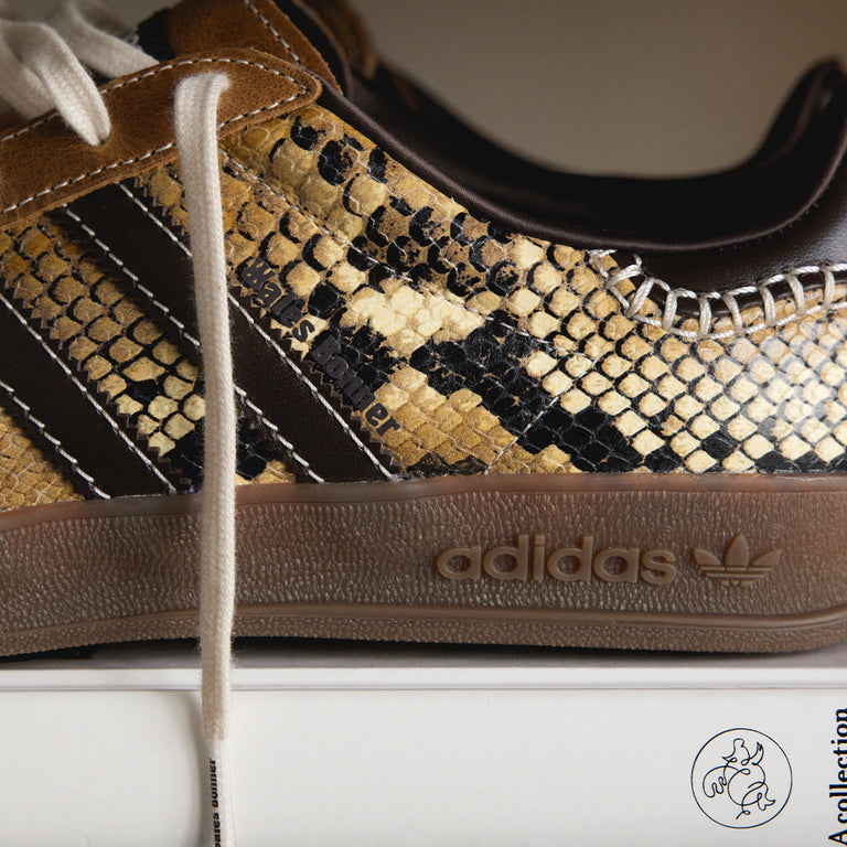 Adidas x Wales Bonner Gazelle *Snake* onfeet