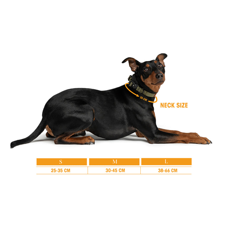 Trekk Dog Collar - S / Olive / Black - 2
