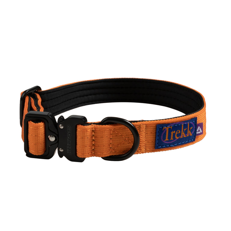 Trekk Dog Collar - S / Sunny Orange
