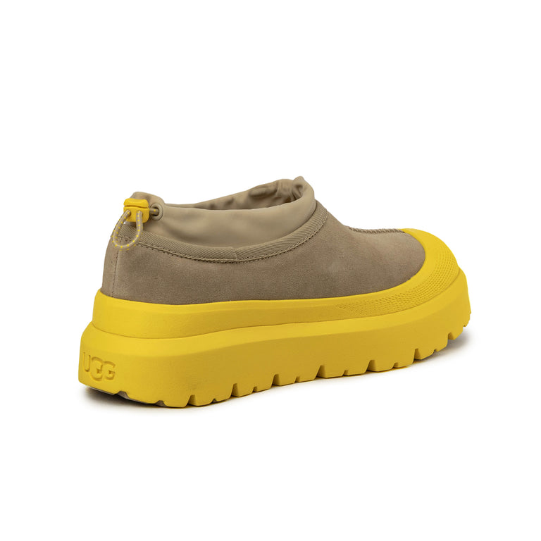 Ugg Tasman Weather Hybrid - 37 / Mustard Seed / Summer Wheat - 3