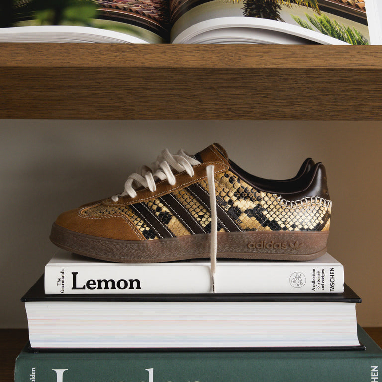 Adidas x Wales Bonner Gazelle *Snake* onfeet