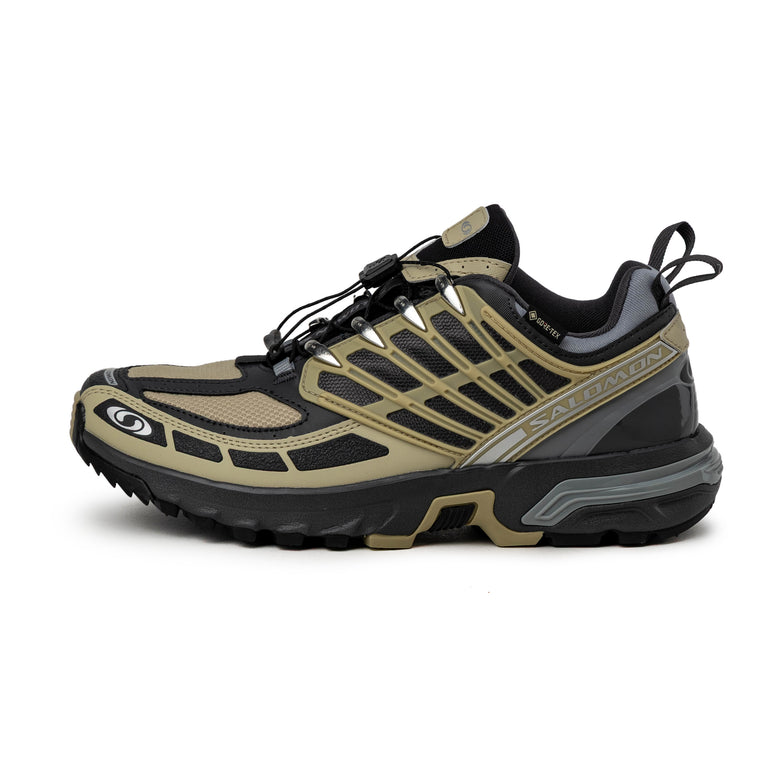 Salomon ACS Pro GTX - 42 / Gray Green / Asphalt / Monument - 1